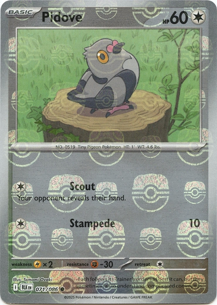 Image for Pidove (Master Ball Pattern) (071/086) (SV: Black Bolt) - Pokemon