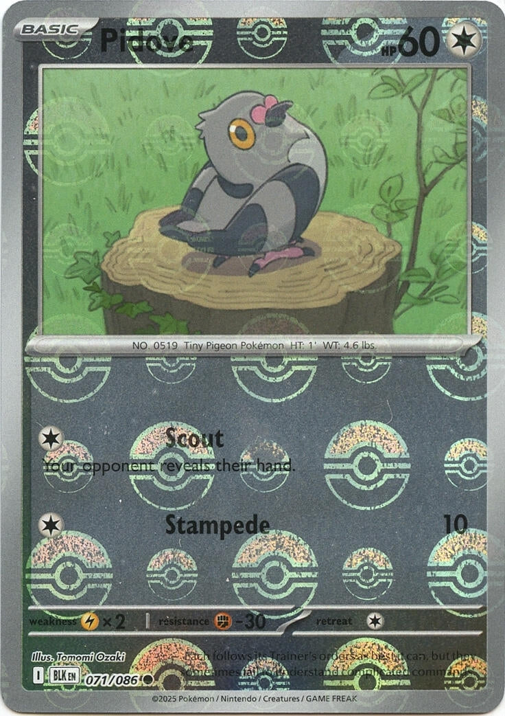 Image for Pidove (Poke Ball Pattern) (071/086) (SV: Black Bolt) - Pokemon