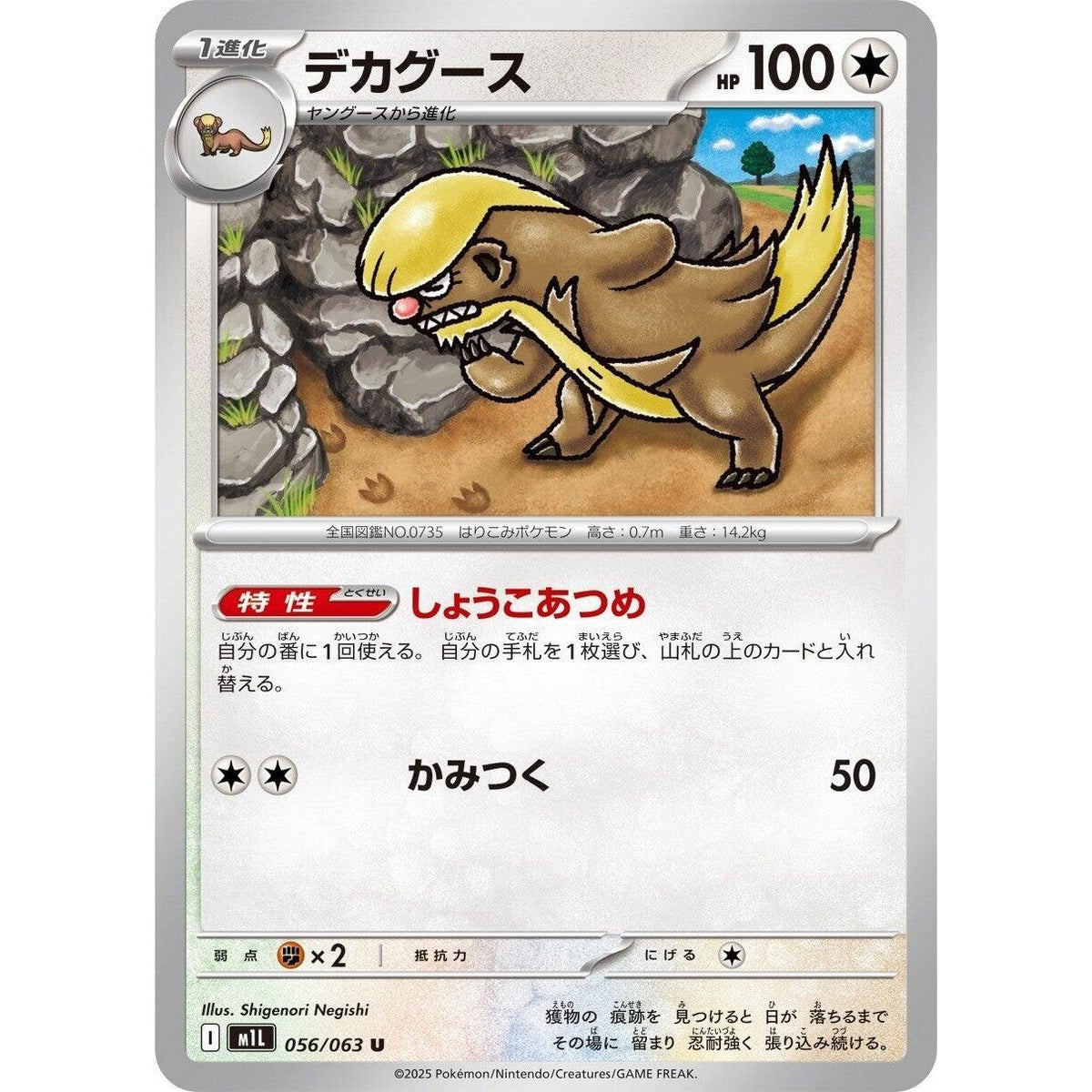Image for Gumshoos (056/063) (m1L: Mega Brave) - Pokemon Japan