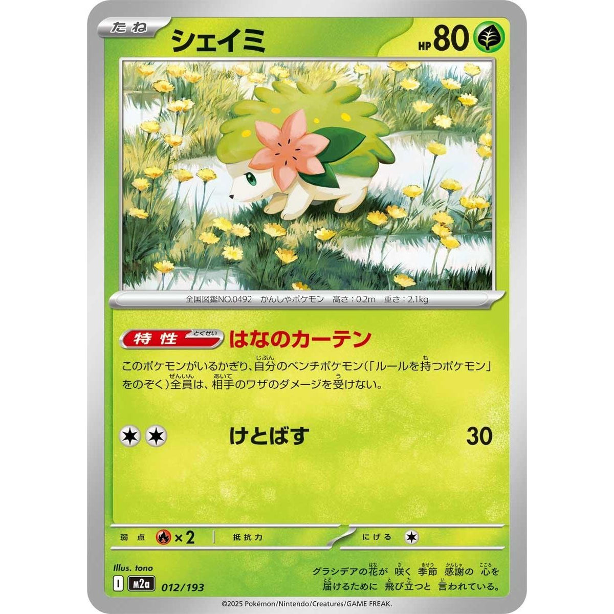 Image for Shaymin (012/193) (M2a: High Class Pack: MEGA Dream ex) - Pokemon Japan
