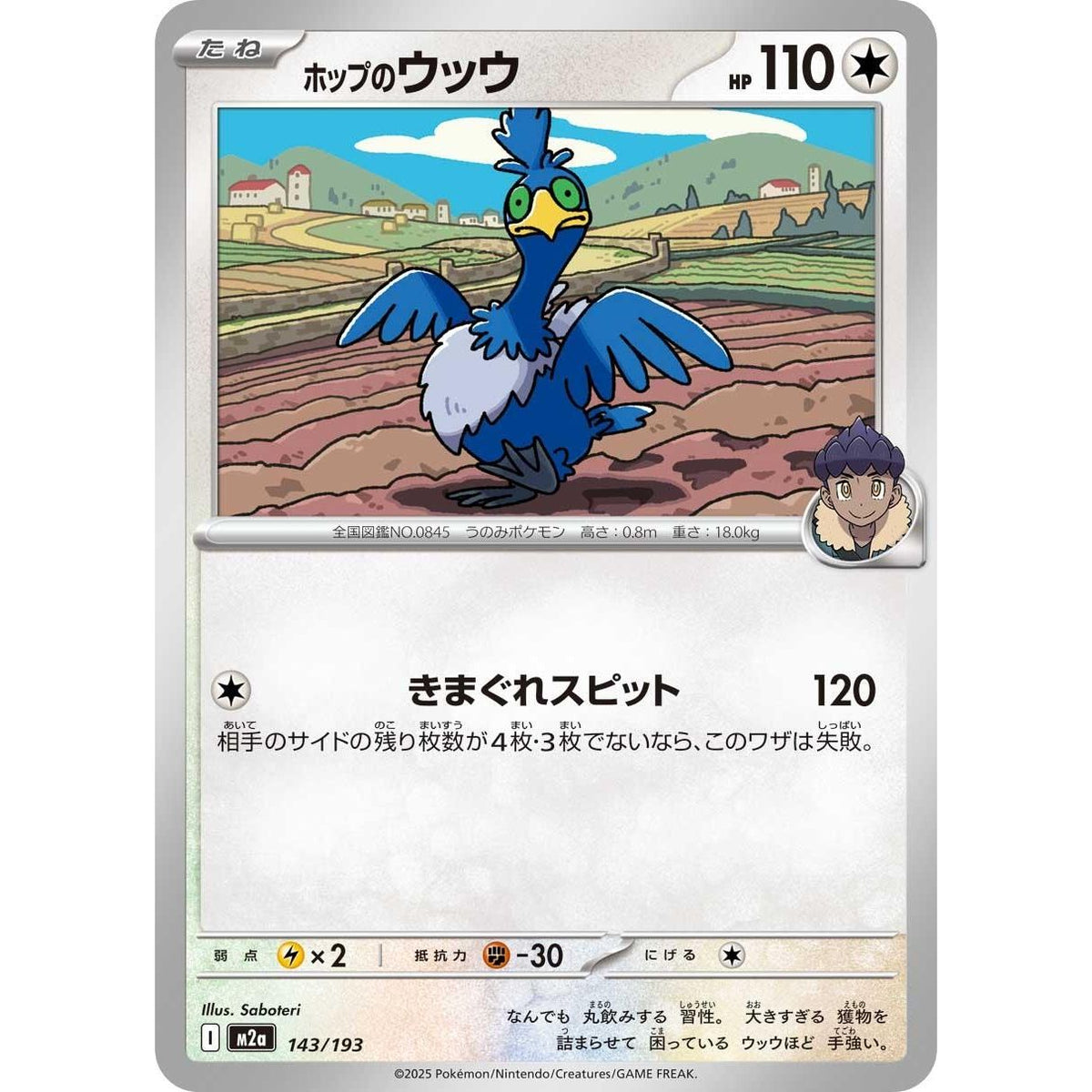 Image for Hop's Cramorant (143/193) (M2a: High Class Pack: MEGA Dream ex) - Pokemon Japan