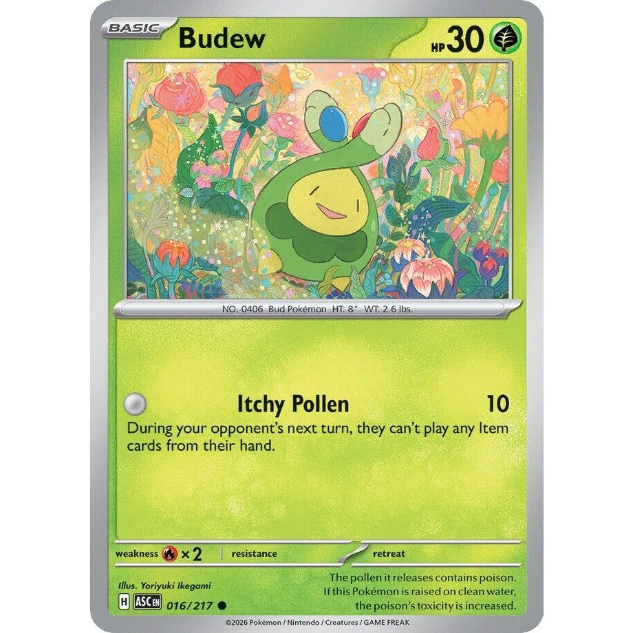 Image for Budew (016/217) (ME: Ascended Heroes) - Pokemon