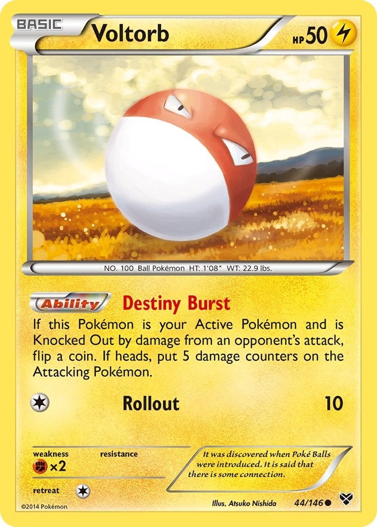 Image for Voltorb (44/146) (XY Base Set) (XY) - Pokemon
