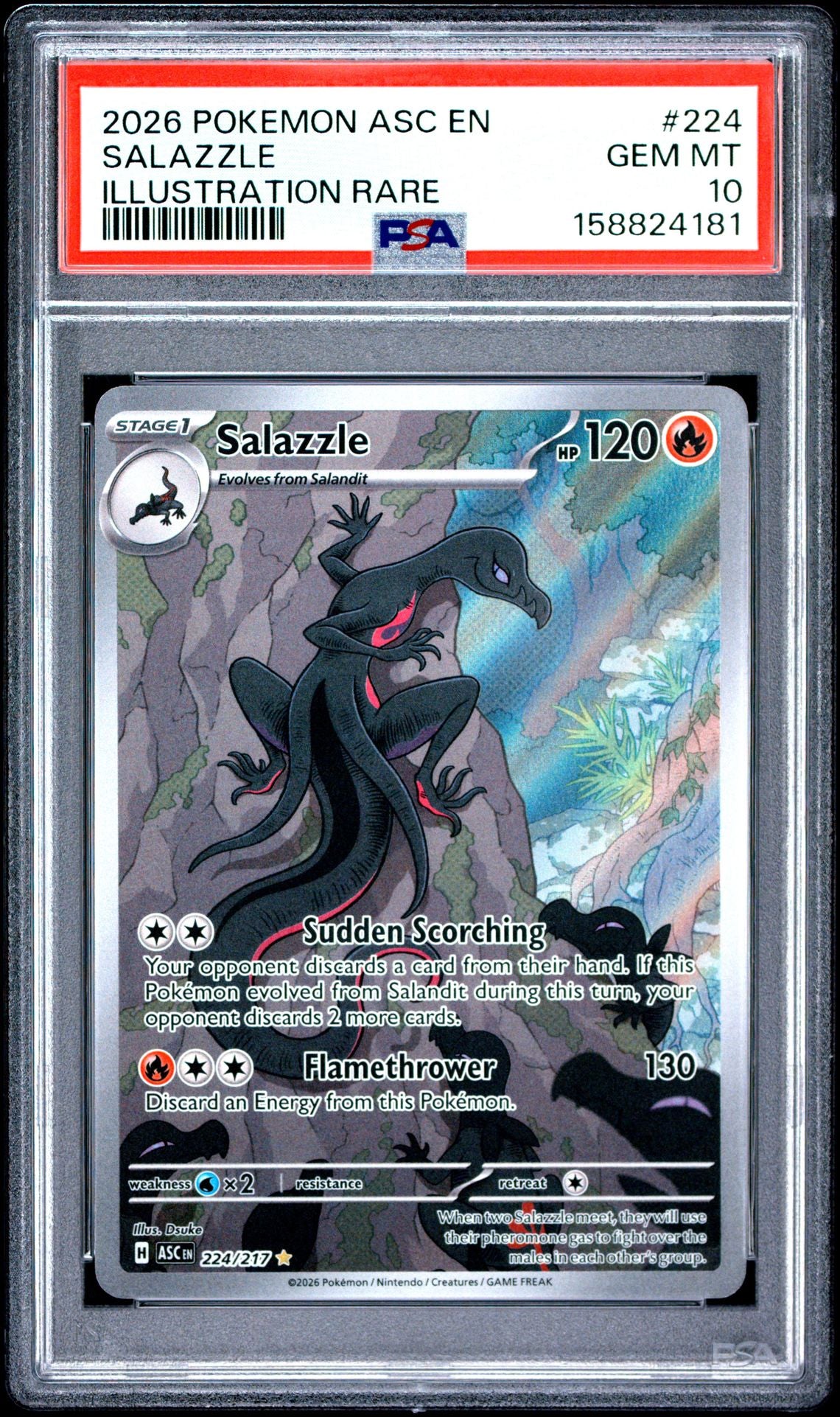 SALAZZLE ILLUSTRATION RARE 2026 POKEMON ASC EN-ASCENDED HEROES PSA GEM MT 10