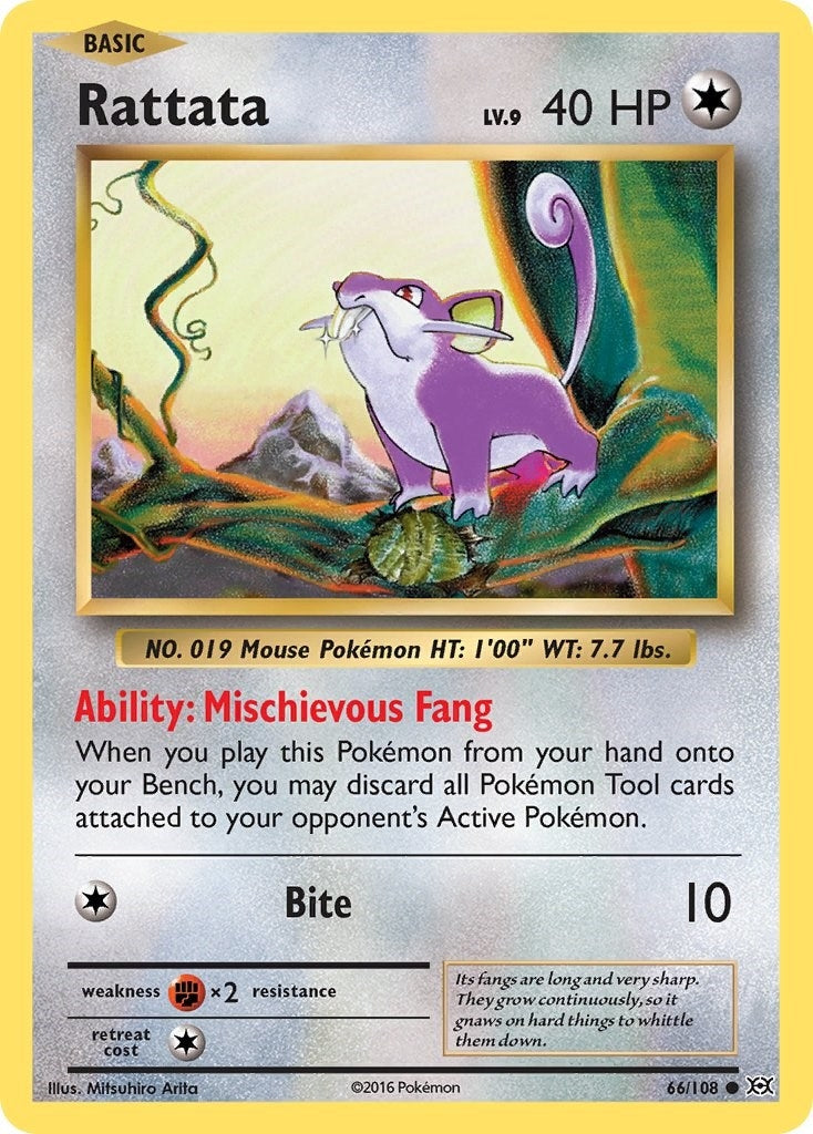Image for Rattata (66/108) (XY - Evolutions) (EVO) - Pokemon