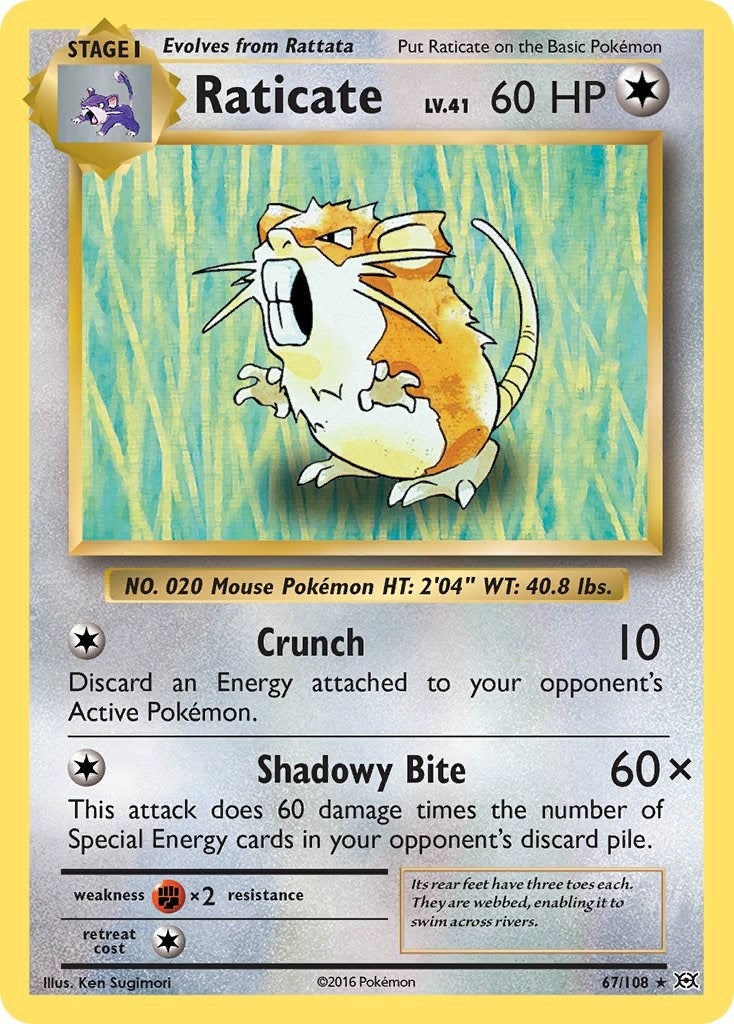 Image for Raticate (67/108) (XY - Evolutions) (EVO) - Pokemon