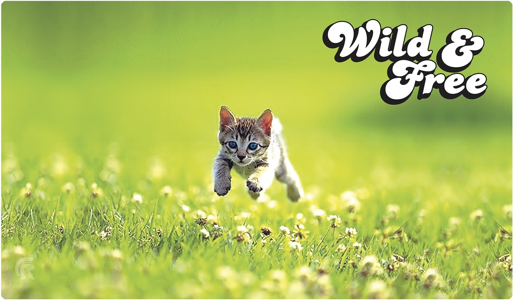Image for Rubber Playmat - Kitten - Playmats