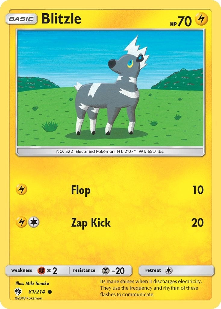 Image for Blitzle (81/214) (SM - Lost Thunder) (SM8) - Pokemon