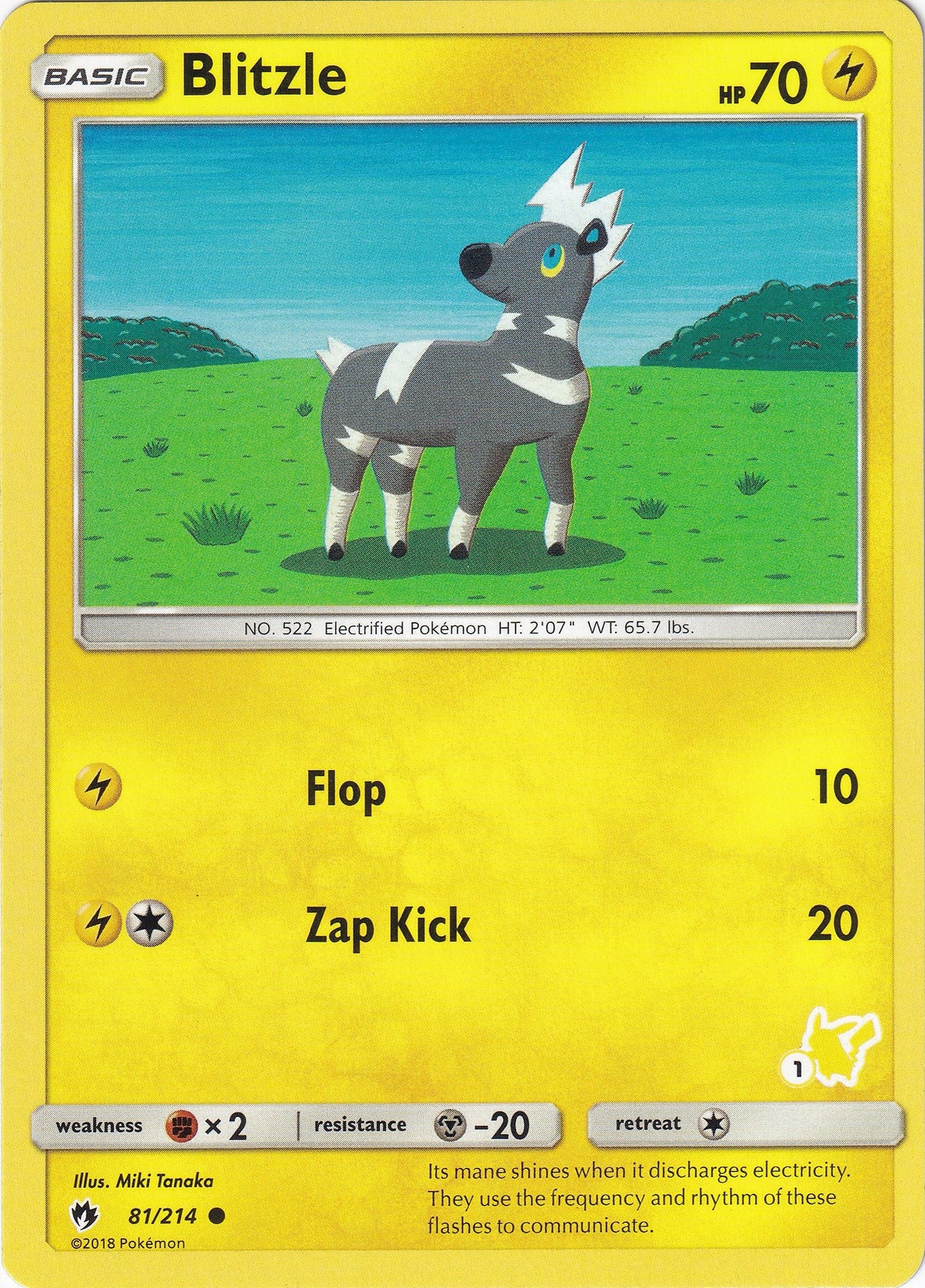 Image for Blitzle - 81/214 (#1 Pikachu Stamped) (081/214) (Battle Academy) (BTA) - Pokemon