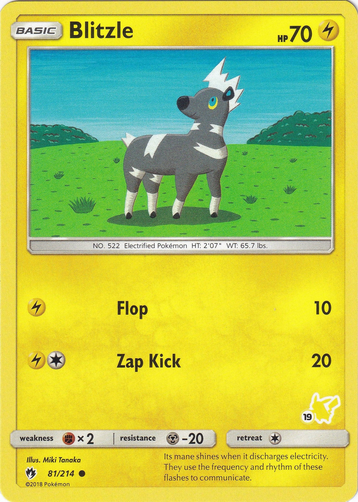 Image for Blitzle - 81/214 (#19 Pikachu Stamped) (081/214) (Battle Academy) (BTA) - Pokemon