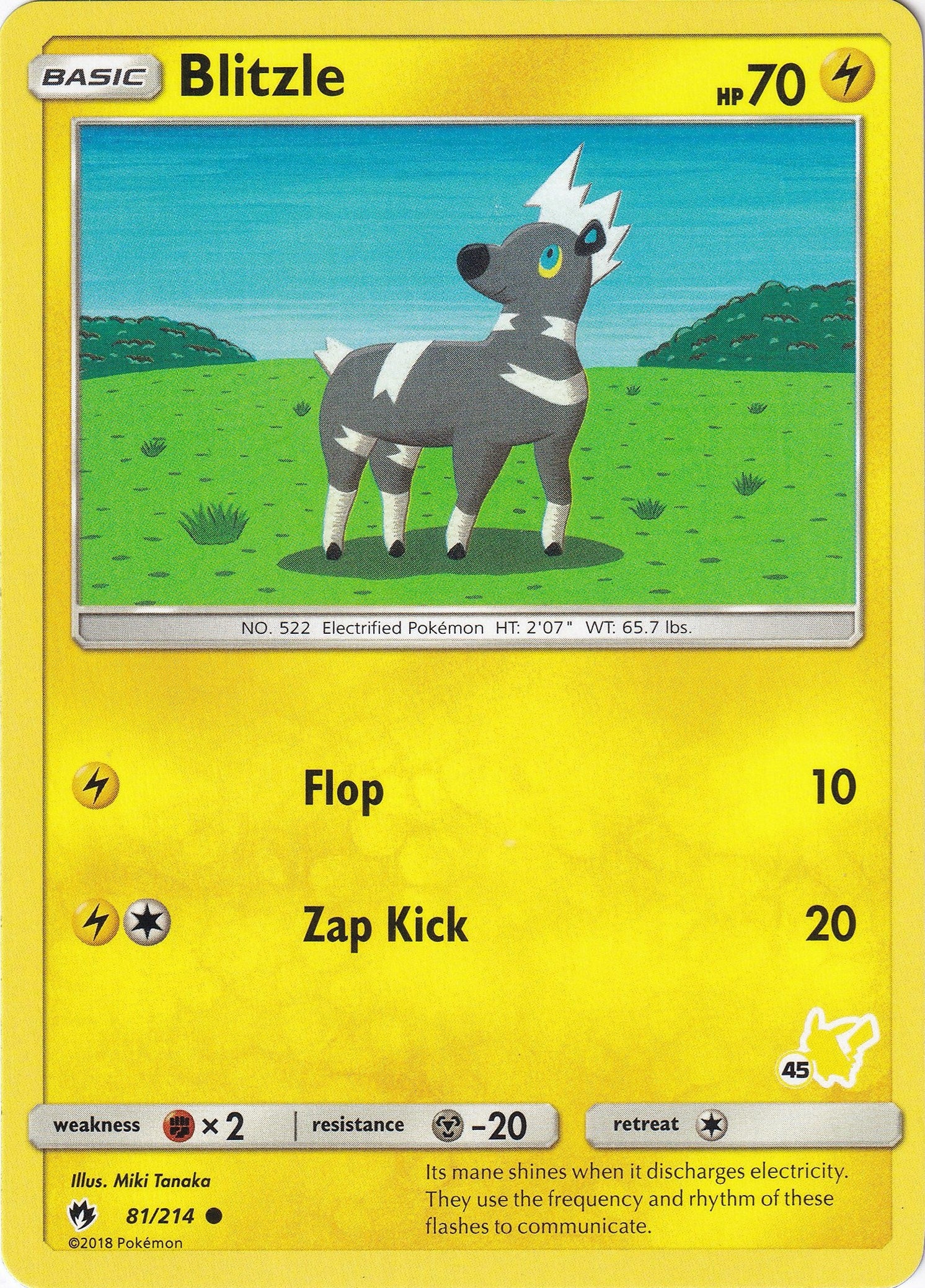 Image for Blitzle - 81/214 (#45 Pikachu Stamped) (081/214) (Battle Academy) (BTA) - Pokemon