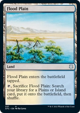 Flood Plain (237) (Adventures in the Forgotten Realms)
