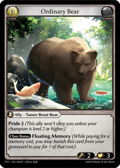 Ordinary Bear (040) (Fractured Crown)