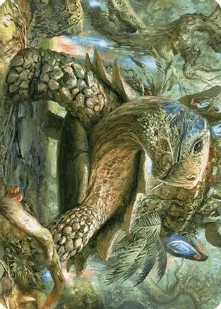 Blossoming Tortoise Art Card (ASWOE-024) [Art Series: Wilds of Eldraine] - PokeBox USA