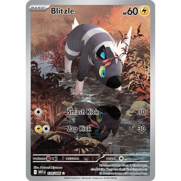 Image for Blitzle (114/086) (SV: White Flare) - Pokemon