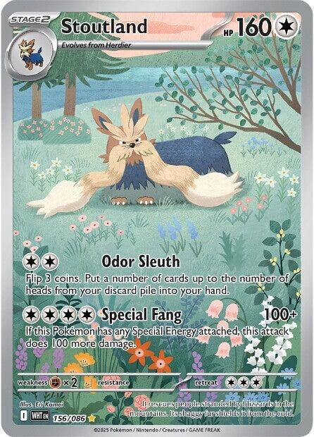 Image for Stoutland (156/086) (SV: White Flare) (WHT) - Pokemon