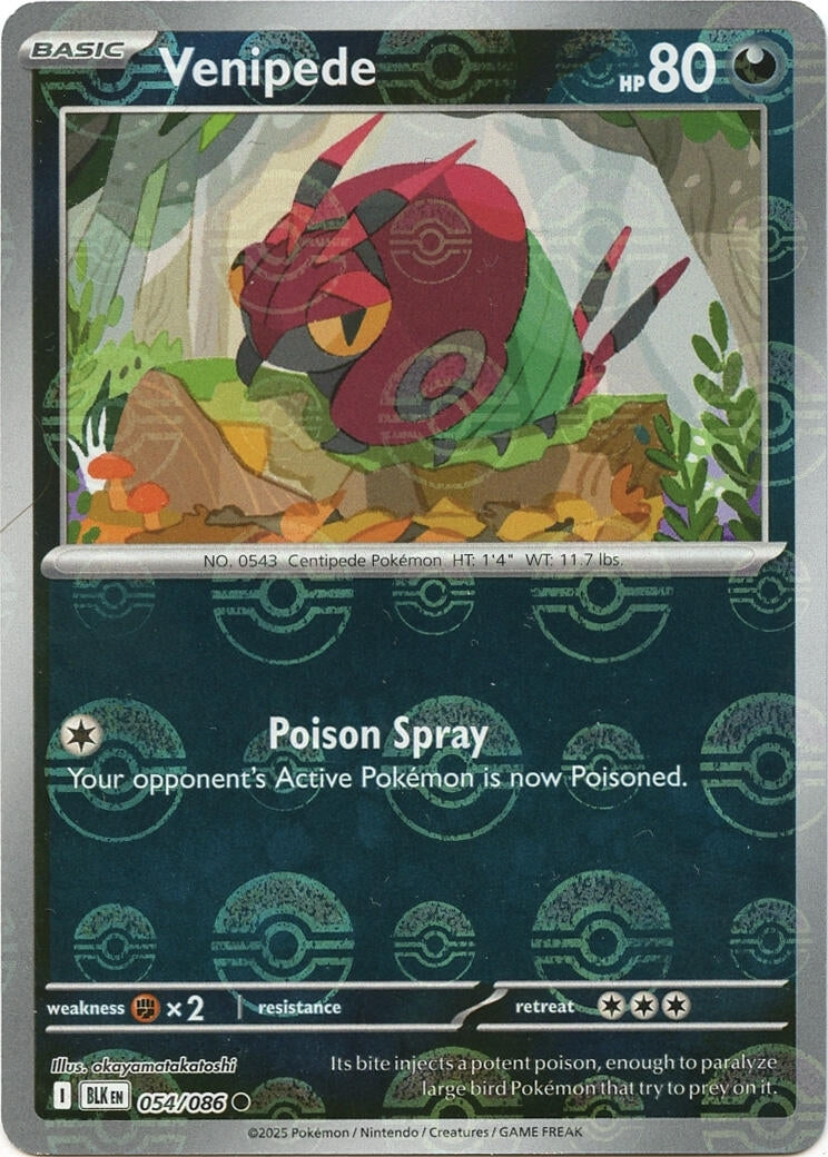 Image for Venipede (Poke Ball Pattern) (054/086) (SV: Black Bolt) - Pokemon
