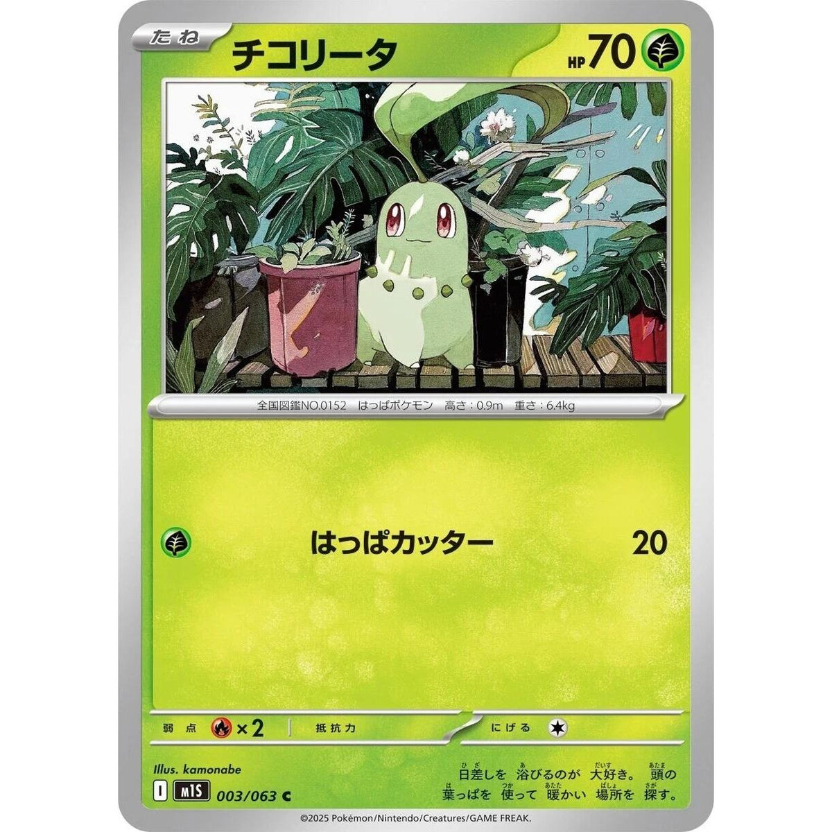 Image for Chikorita (003/063) (m1S: Mega Symphonia) - Pokemon Japan
