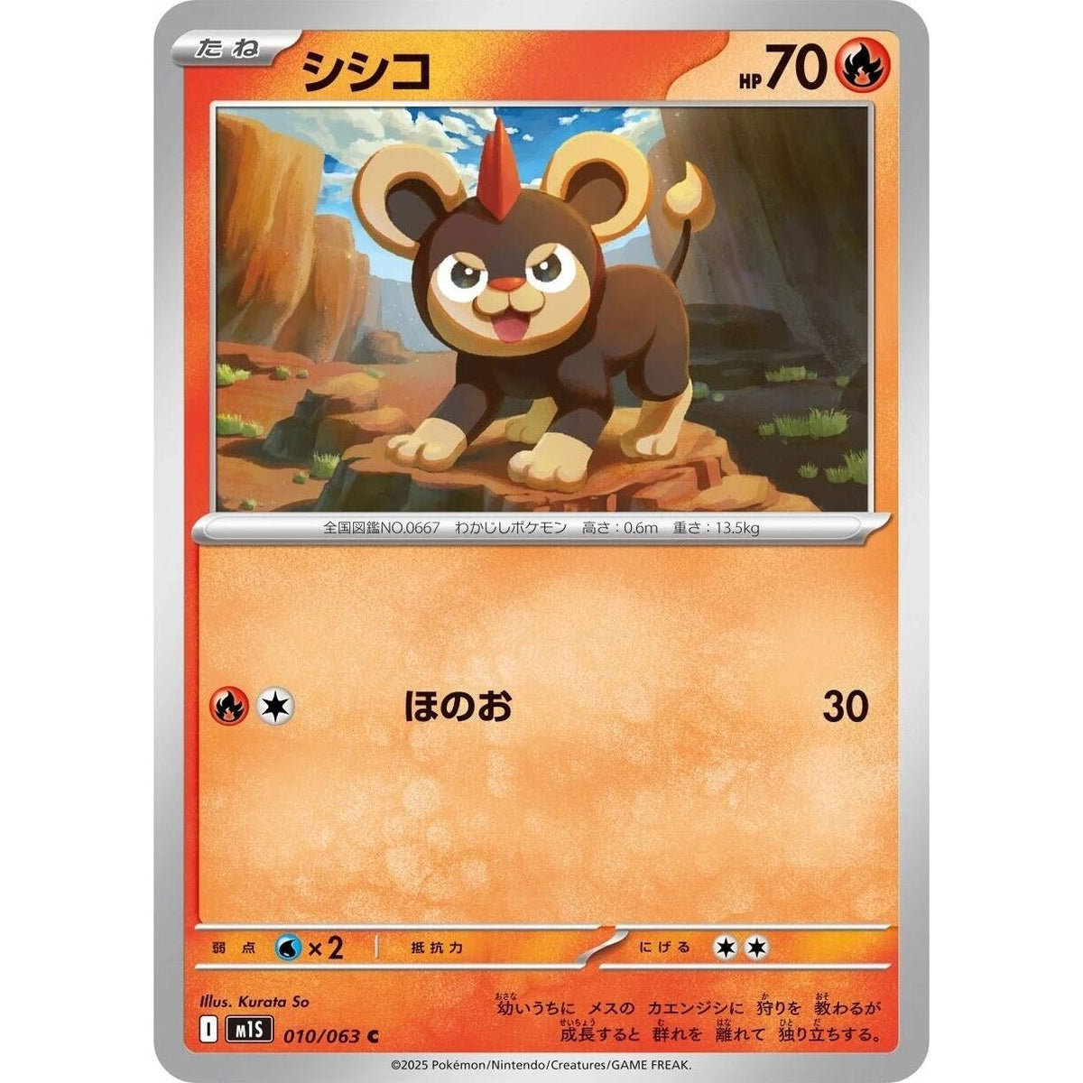 Image for Litleo (010/063) (m1S: Mega Symphonia) - Pokemon Japan