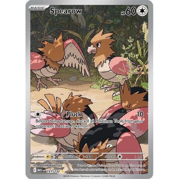 Image for Spearow (151/132) (ME01: Mega Evolution) - Pokemon