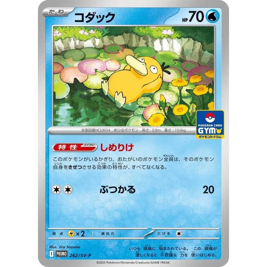 Image for Psyduck - 262 (262/SV-P) (SV-P Promotional Cards) - Pokemon Japan