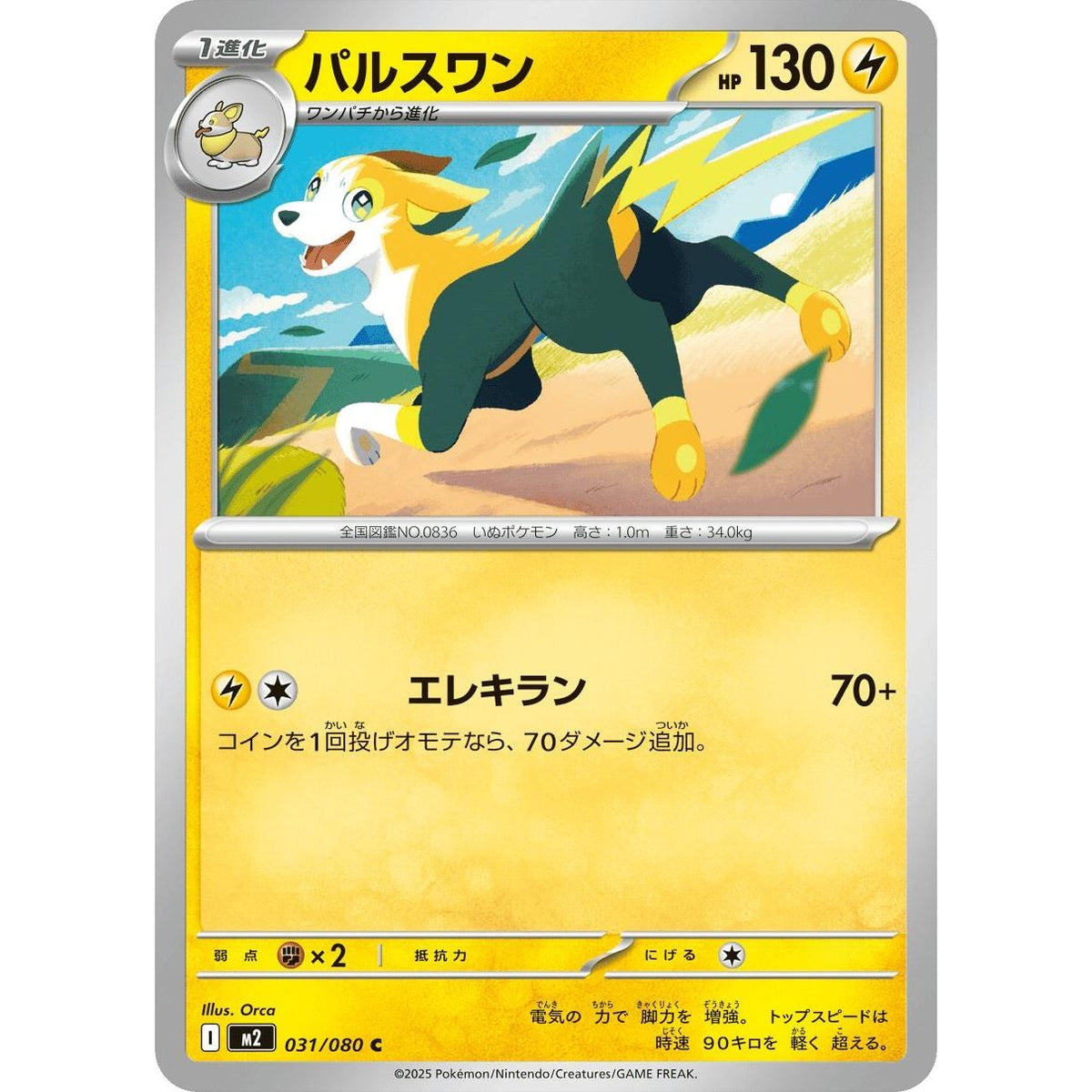 Image for Boltund (031/080) (M2: Inferno X) - Pokemon Japan