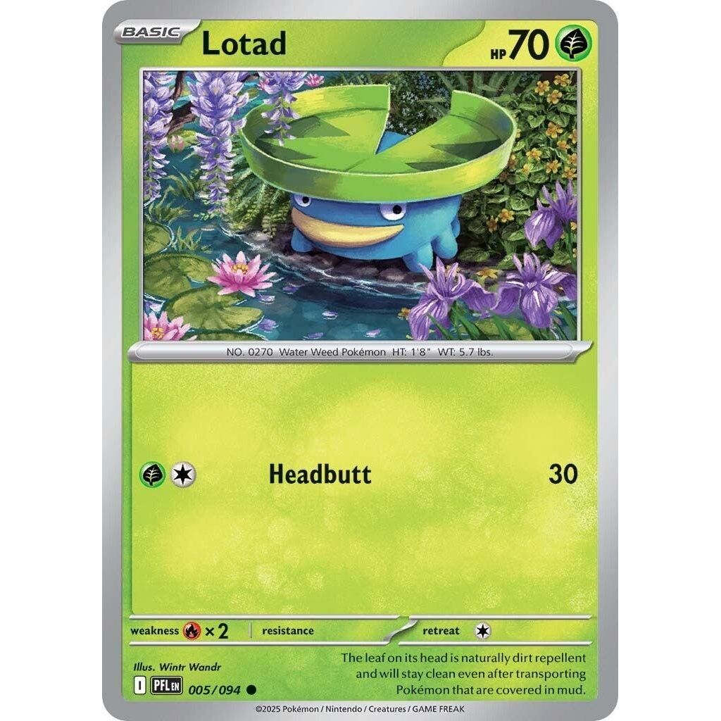 Image for Lotad (005/094) (ME02: Phantasmal Flames) - Pokemon