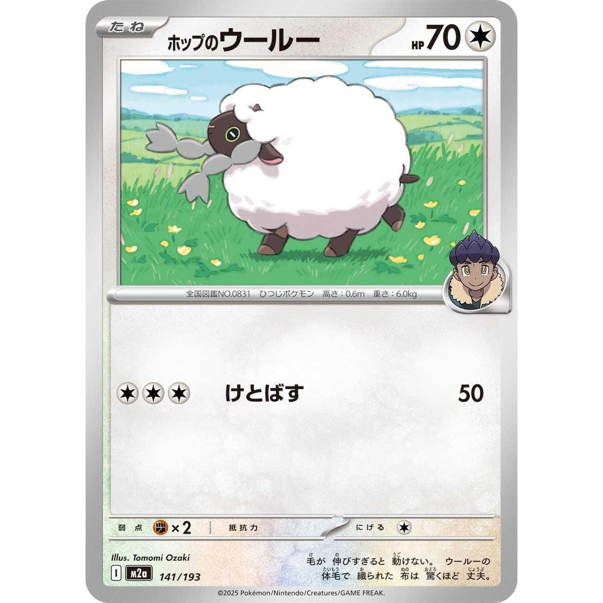 Image for Hop's Wooloo (141/193) (M2a: High Class Pack: MEGA Dream ex) - Pokemon Japan