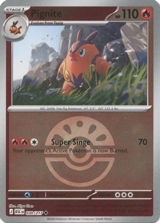 Pignite (Friend Ball) (030/217) (ME: Ascended Heroes) - PokeBox USA