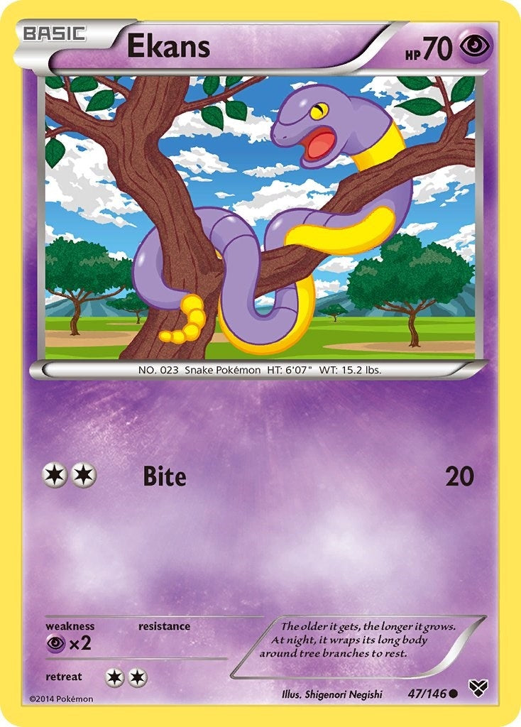 Image for Ekans (47/146) (XY Base Set) (XY) - Pokemon