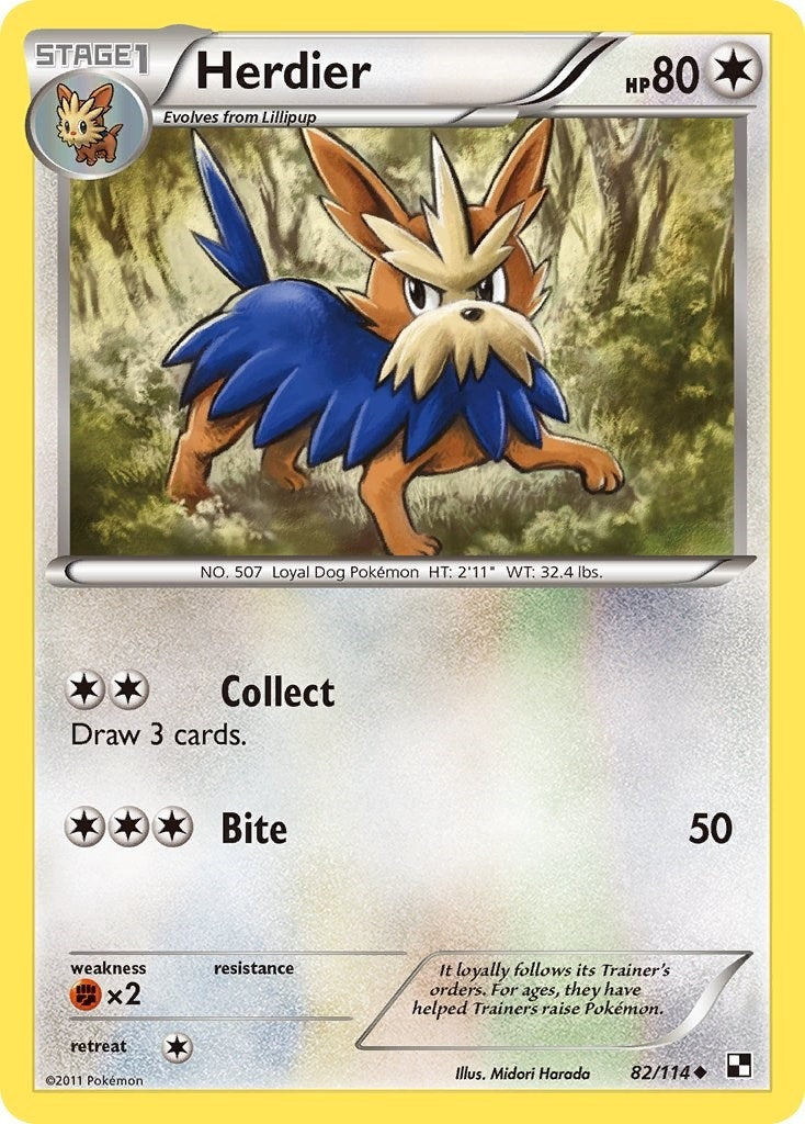 Image for Herdier (82/114) (Black and White) (BLW) - Pokemon