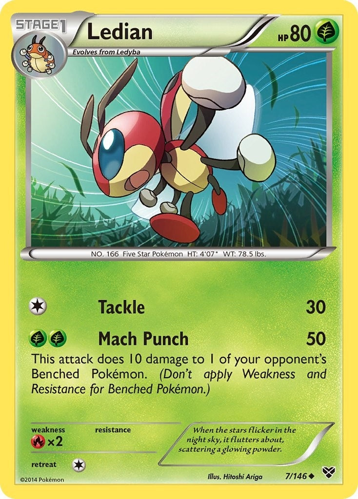 Image for Ledian (7/146) (XY Base Set) (XY) - Pokemon