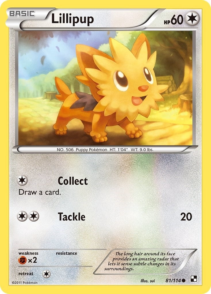 Image for Lillipup (81) (81/114) (Black and White) (BLW) - Pokemon