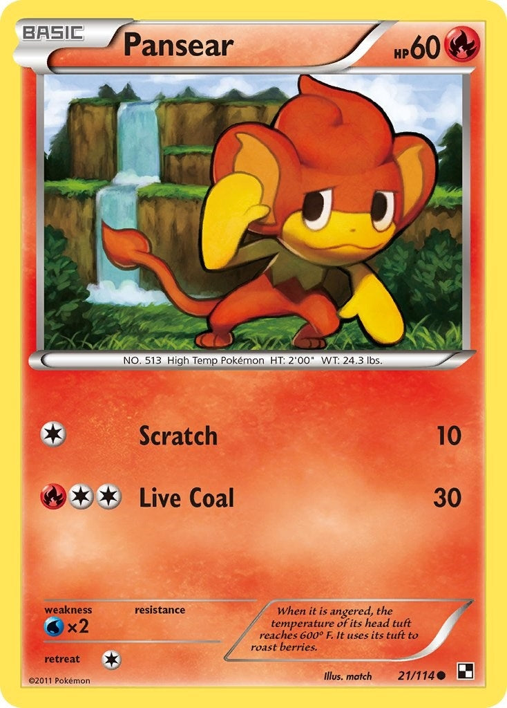 Image for Pansear (21/114) (Black and White) (BLW) - Pokemon