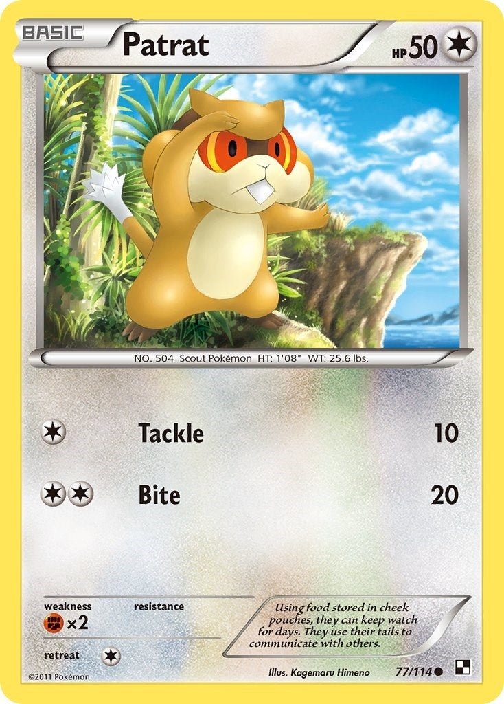 Image for Patrat (77) (77/114) (Black and White) (BLW) - Pokemon
