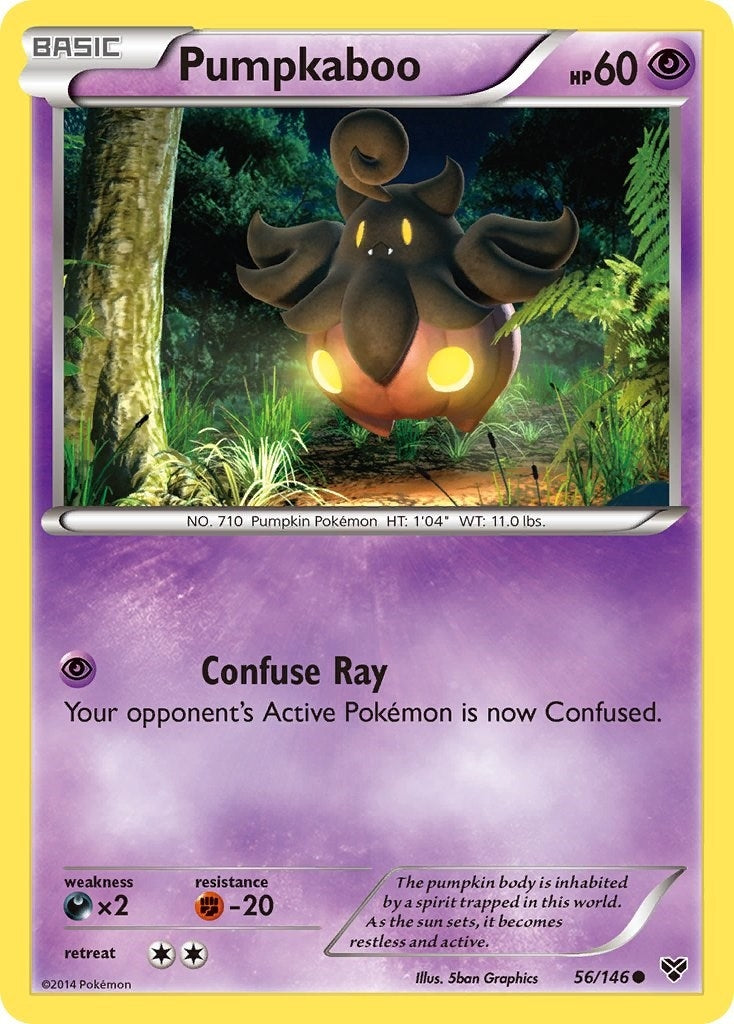 Image for Pumpkaboo (56/146) (XY Base Set) (XY) - Pokemon