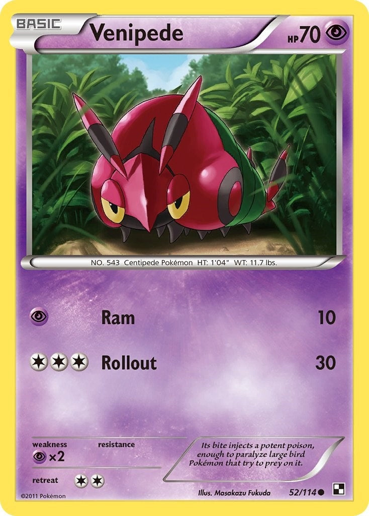 Image for Venipede (52/114) (Black and White) (BLW) - Pokemon