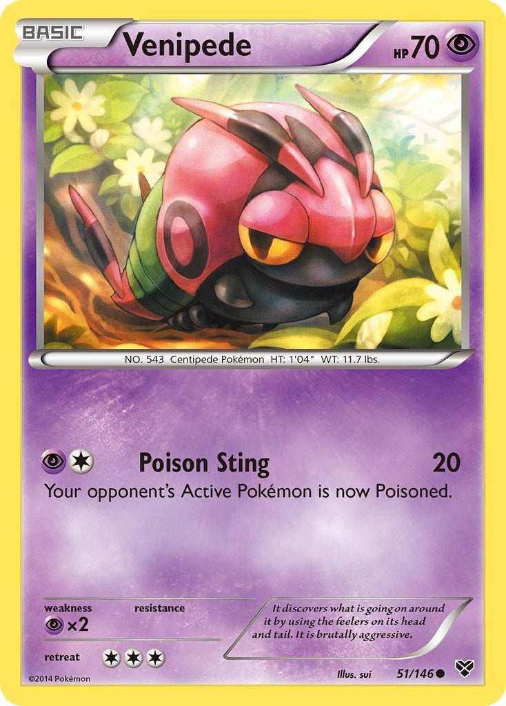 Image for Venipede (51/146) (XY Base Set) (XY) - Pokemon