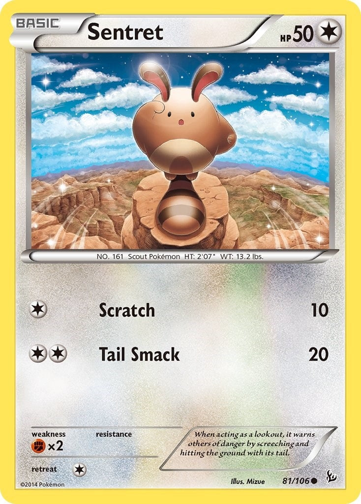 Image for Sentret (81/106) (XY - Flashfire) (FLF) - Pokemon