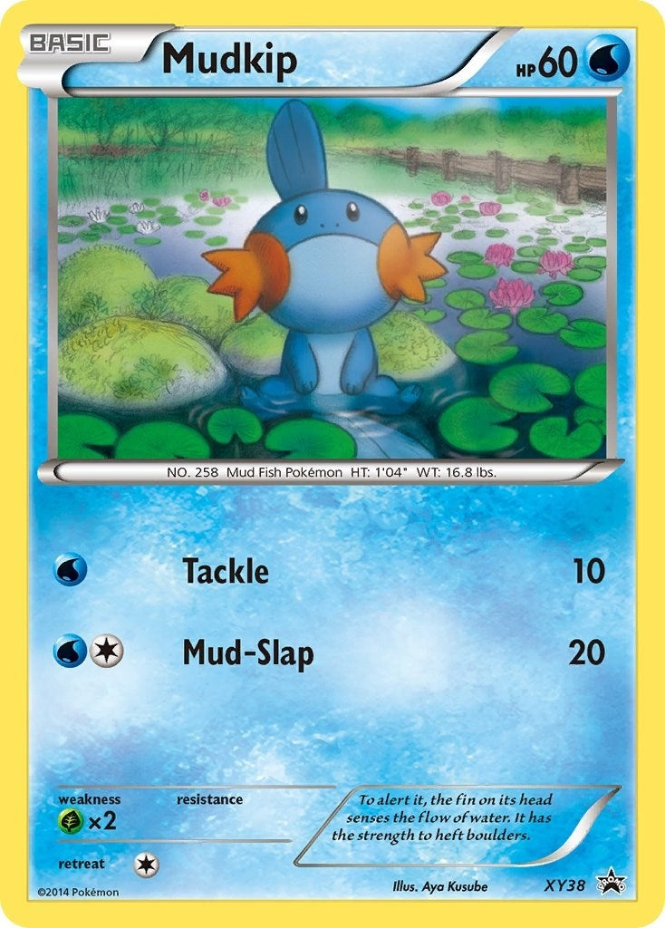 Image for Mudkip - XY38 (XY38) (XY Promos) (PR) - Pokemon