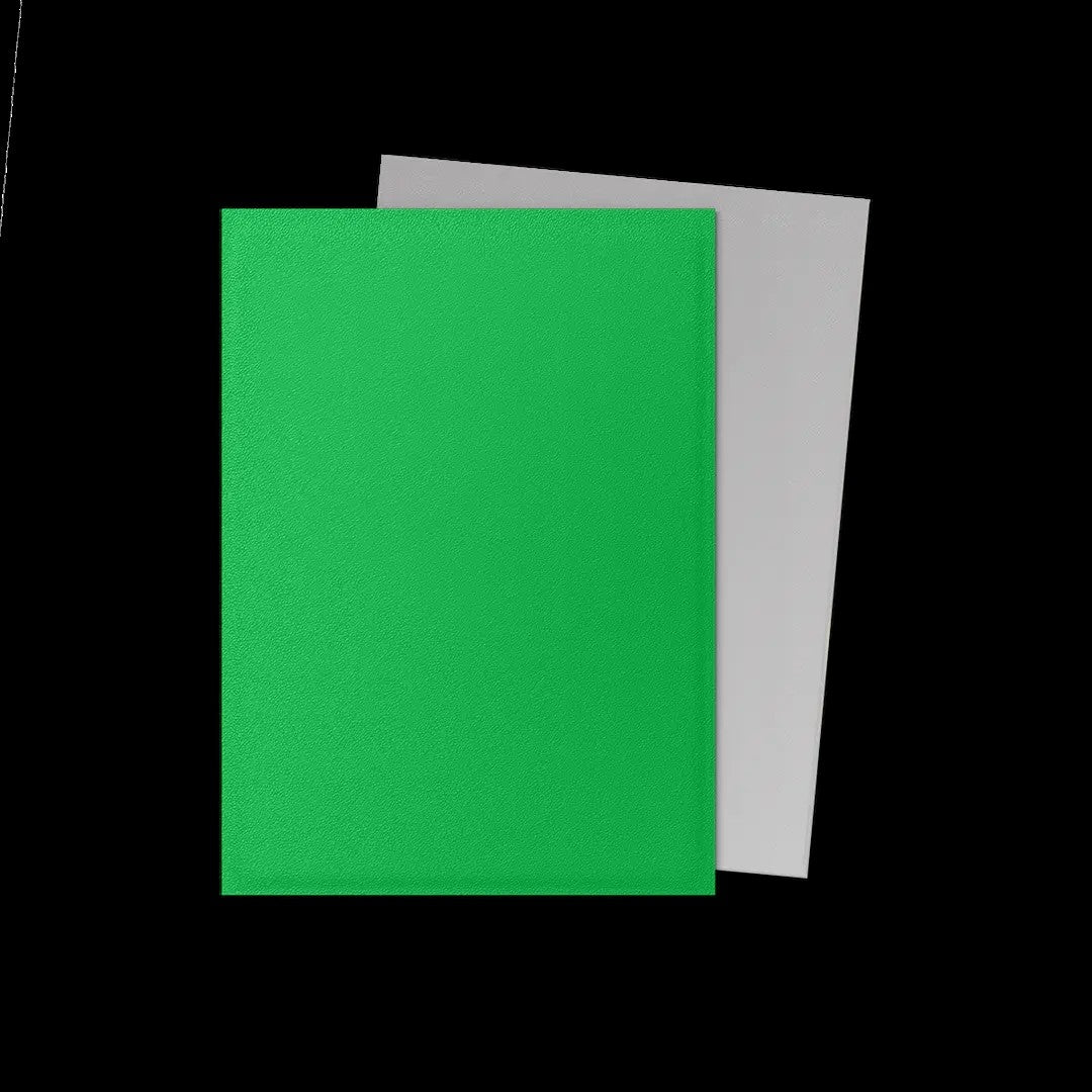 Dragon Shield - Standard 'Apple Green & Silver' DUAL Matte Sleeves 100 pack - PokeBox USA