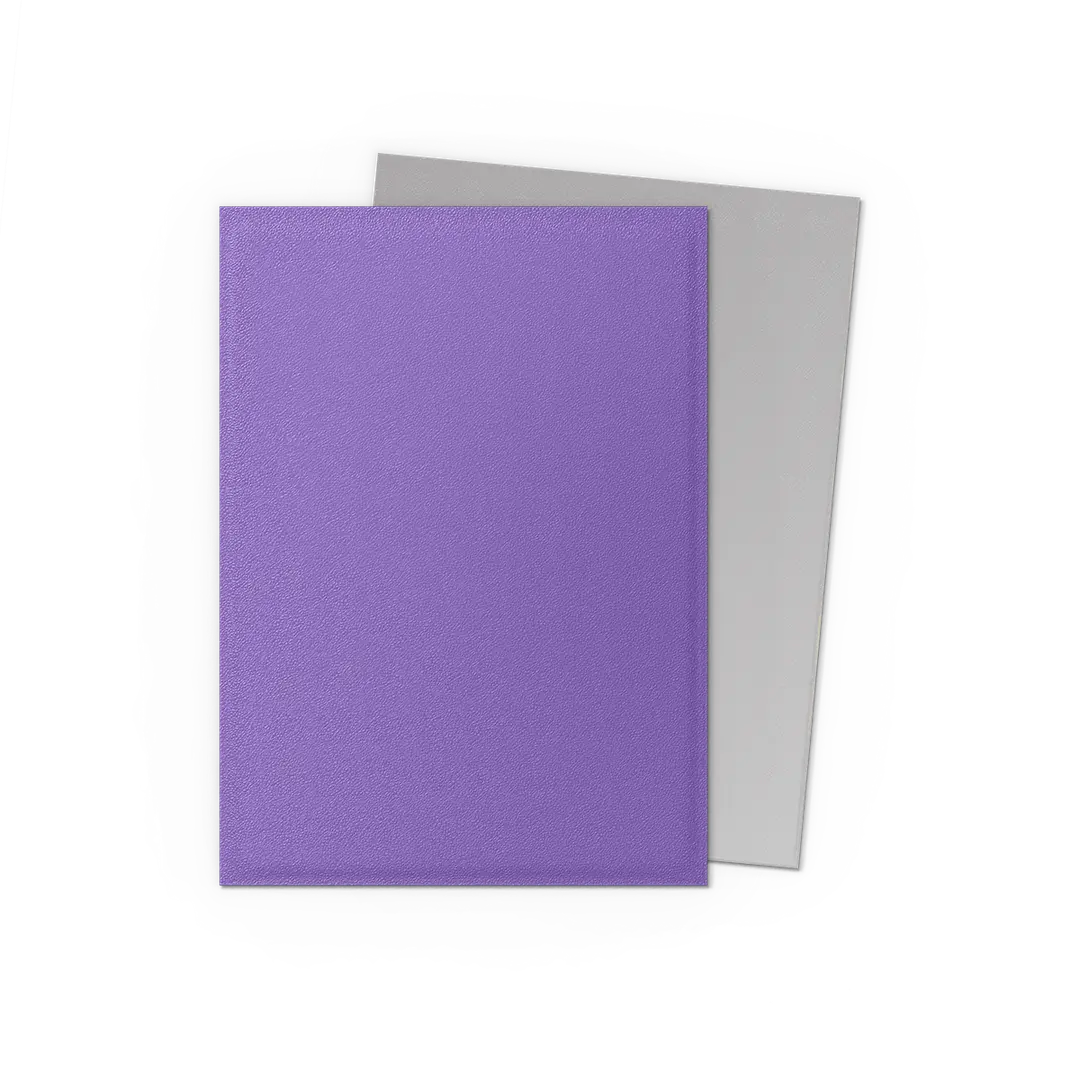 Dragon Shield - Standard 'Nebula & Silver' DUAL Matte Sleeves 100 pack - PokeBox USA