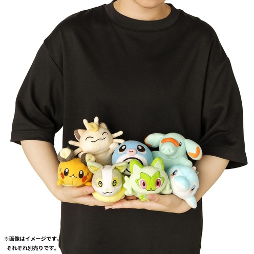 Sprigatito - Pokémon Centre Washable Plush - PokeBox USA